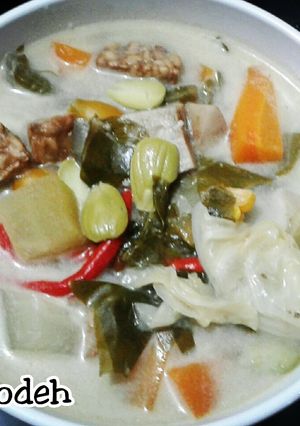 Foto resep Sayur Lodeh