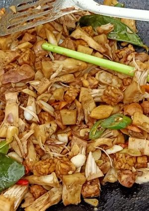 Foto resep Tumis Nangka MuDa Mix Tempe