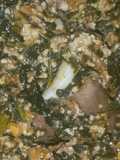 Egusi with bitterleaf