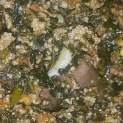 A picture of Egusi with bitterleaf.
