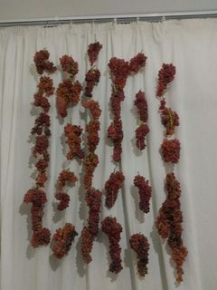 عکسی از دستور کشمش سازی به روش پرده ای
