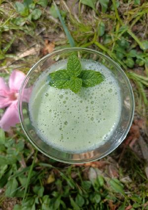 Une photo de 🌸 Gaspacho concombre menthe