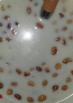 A picture of Garri flake.