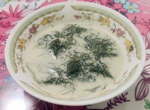 Foto resep Bobor Sayur Adas