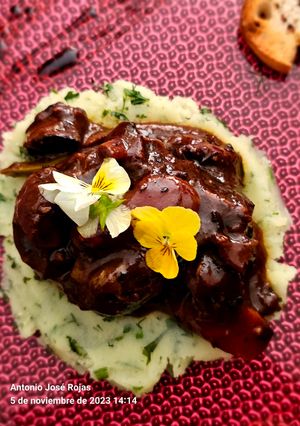 Una foto de Boeuf bourguignon (carne estofada)