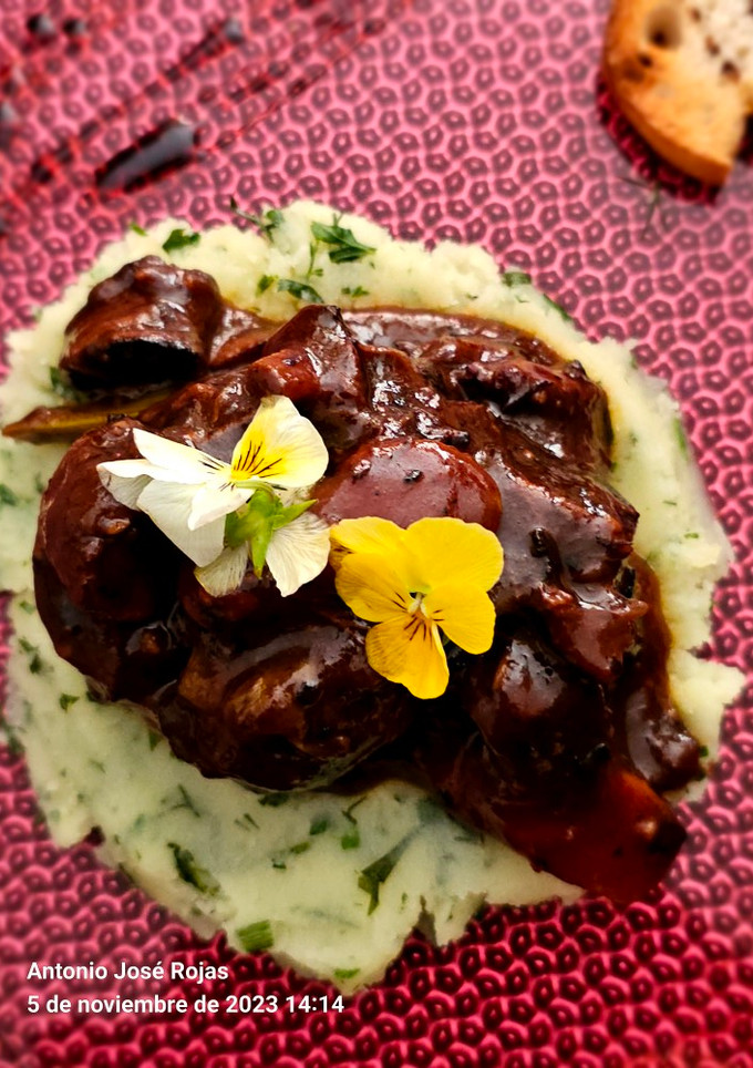 Una foto de Boeuf bourguignon (carne estofada)