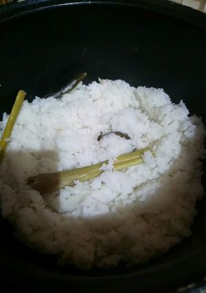 Foto resep Nasi Uduk/Nasi Lemak/Nasi Gurih Ricecooker