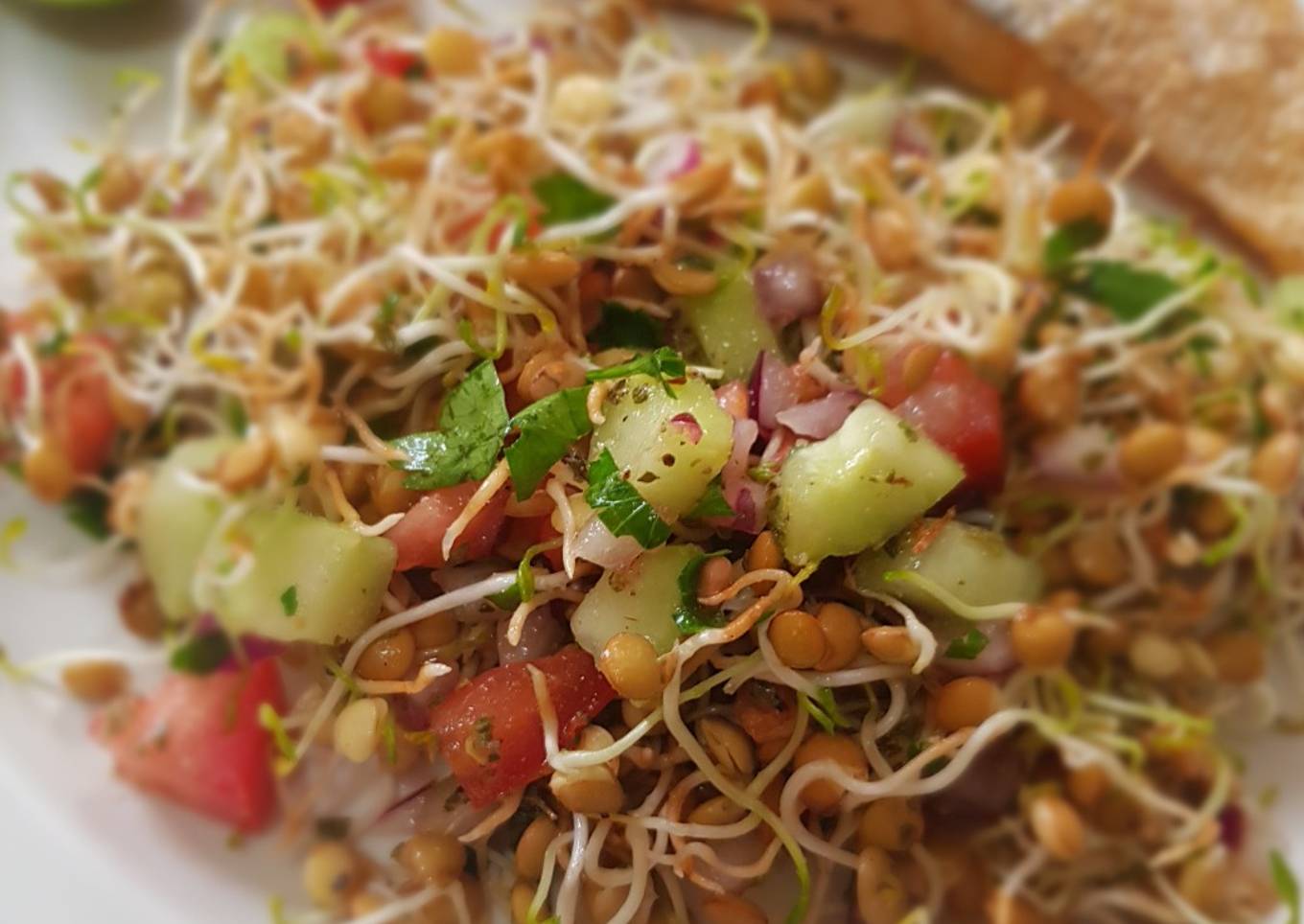 Ensalada de germinados de lenteja con jitomate, pepino y perejil