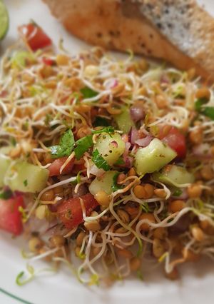 Una foto de Ensalada de germinados de lenteja con jitomate, pepino y perejil