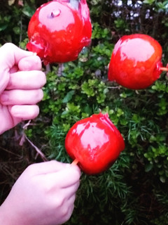 Una foto de Manzanas confitadas