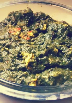 A picture of Palak Paneer/Spinach & Cottage Cheese Curry.