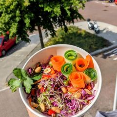 A picture of Thai Microgreen Salad.