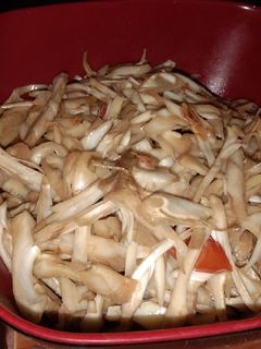 Foto resep Oseng Nangka Muda