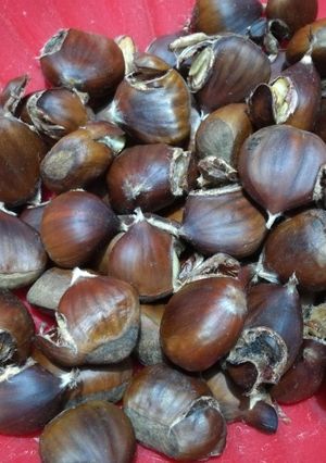 Foto di Castagne al forno