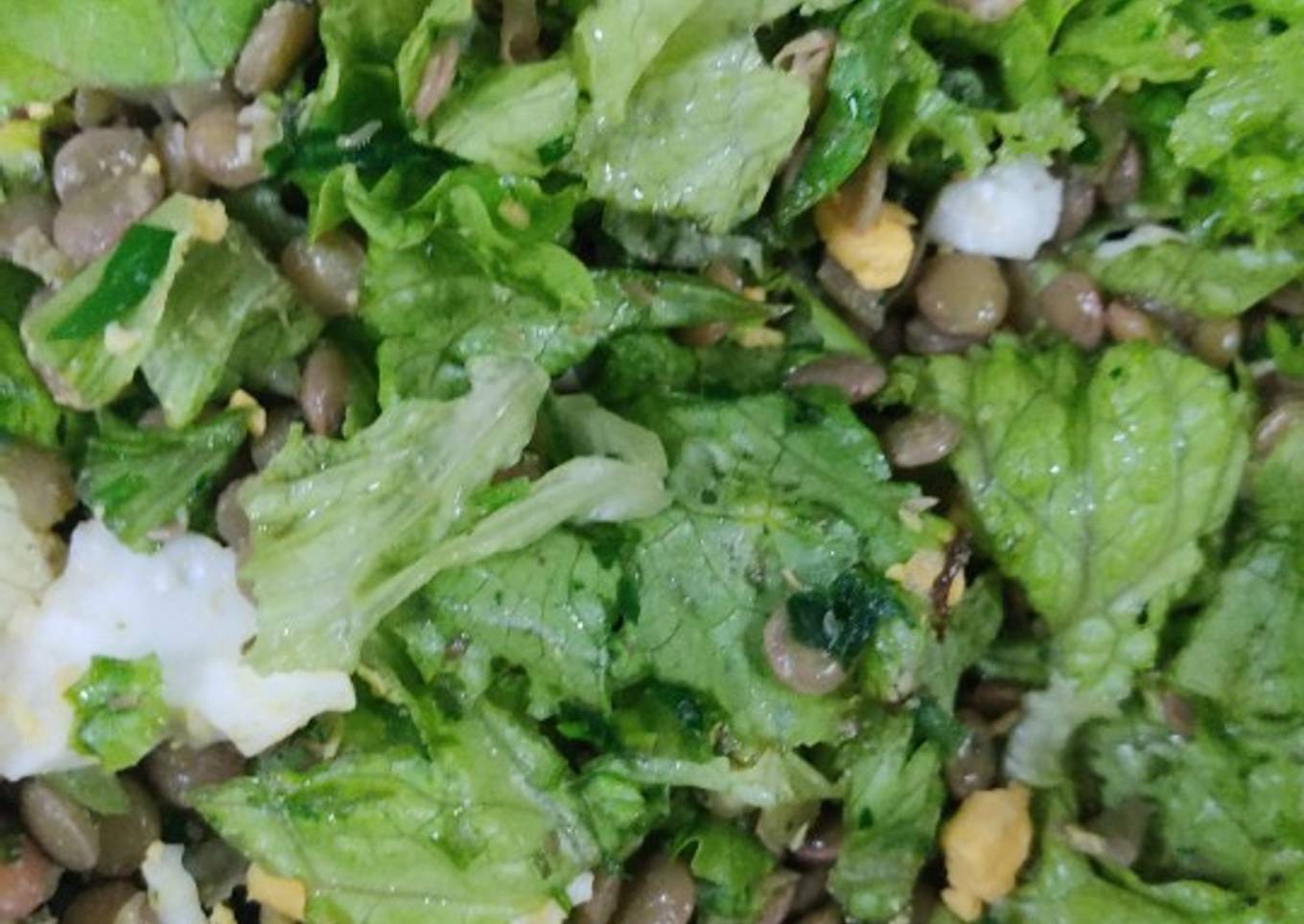 Ensalada de lentejas