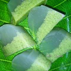รูปของ Puding Lumut