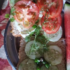 A picture of Quick n simple veg n cheese sandwich.