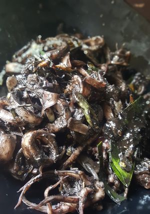 Foto resep 3. Tumis Cumi Hitam
