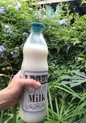 Una foto de Leche de coco casera 🌱