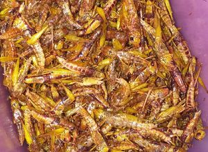 Foto resep Walang Goreng Gurih Maknyusss