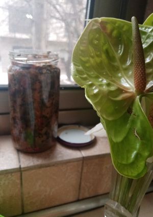 عکسی از دستور ترشی بادمجون فوری