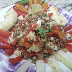 A picture of Sprouted moong.