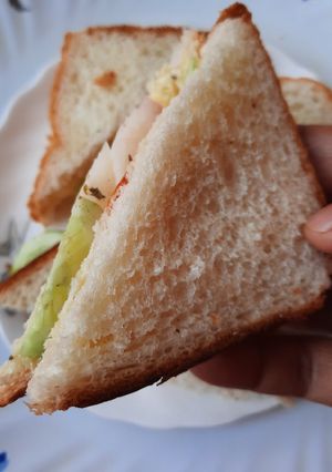 ভেজ ব্রেড স্যান্ডউইচ(veg bread sandwich recipe in Bengali) রেসিপির প্রধান ছবি