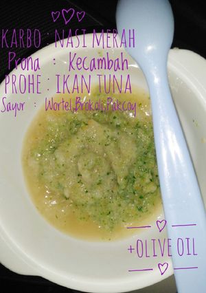 Foto resep Bubur Saring Nasi Merah Mpasi 7+