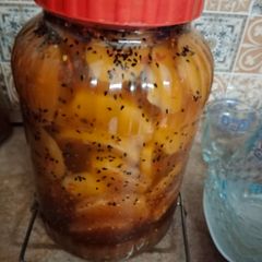 A picture of Shaljam ka achar.