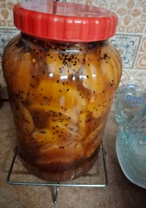 A picture of Shaljam ka achar.