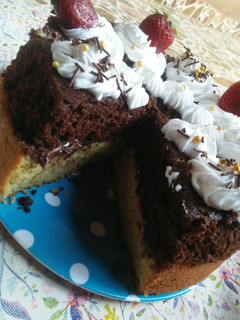 A picture of Vanilla and chocolate cake.