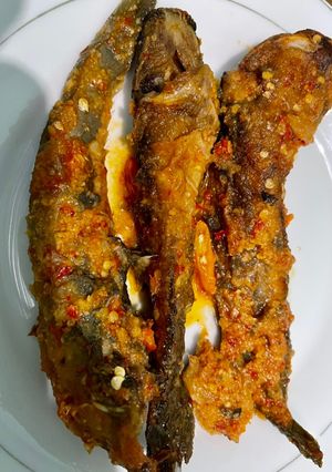 Foto resep Lele bumbu balado