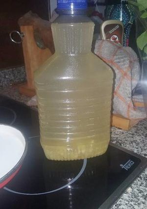 Foto principal de Tíbico jengibre con limón by yoli