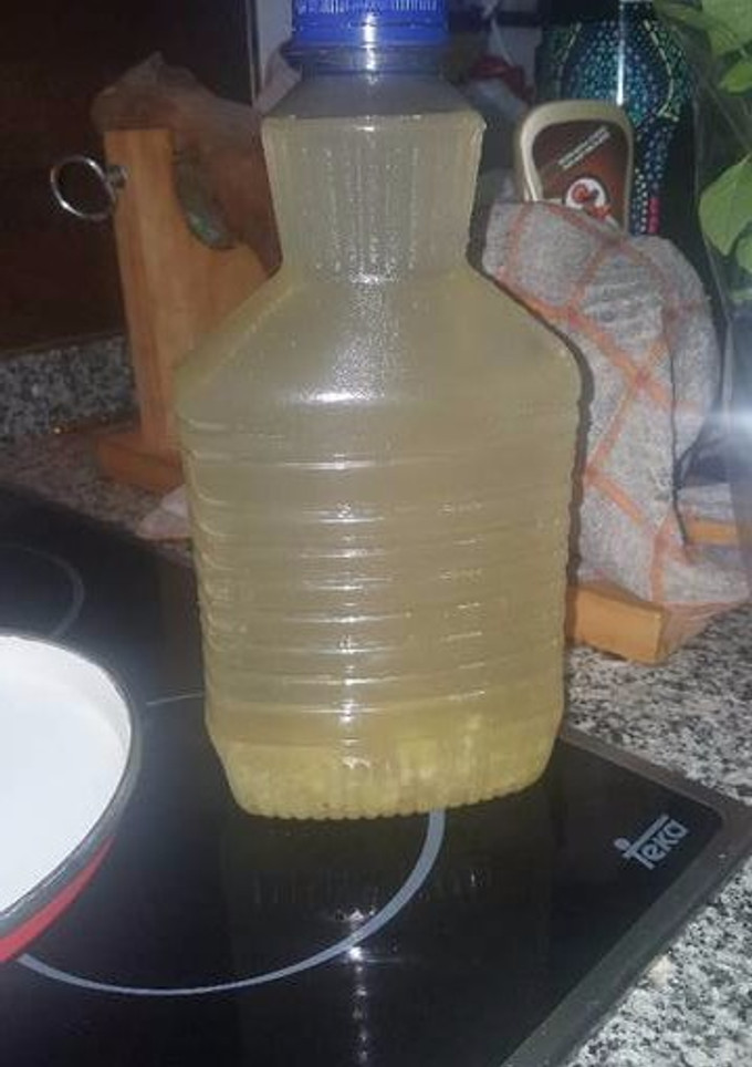 Una foto de Tíbico jengibre con limón by yoli