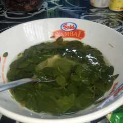 Sayur bening daun kelor রেসিপির প্রধান ছবি