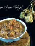 Semur ayam ketupat