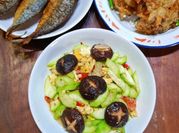 Gambar jamur shitake telur