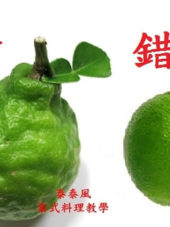 ♦泰泰風♦綠咖哩醬 馬沙門咖哩醬用的是泰國的萊姆皮 不是台灣的檸檬皮 的食譜成品照片