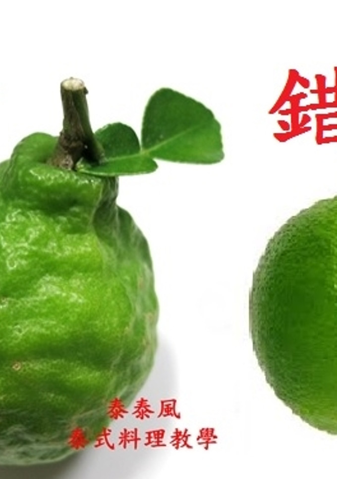 ♦泰泰風♦綠咖哩醬 馬沙門咖哩醬用的是泰國的萊姆皮 不是台灣的檸檬皮 的食譜成品照片