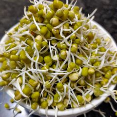 A picture of Sprouts.