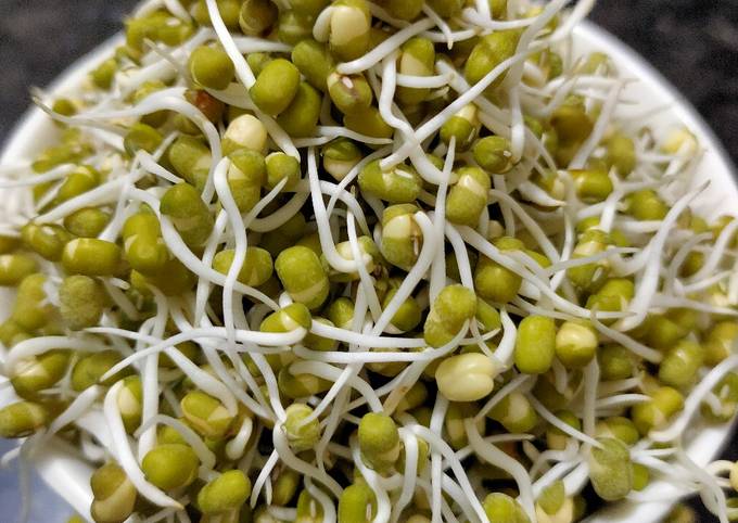 Simple Way to Make Homemade Sprouts