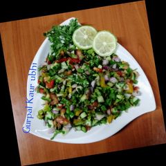 Salata baladi (Egyptian salad) 🍅🥒🫑🧅🍋 A picture of Salata baladi (Egyptian salad) 🍅🥒🫑🧅🍋.