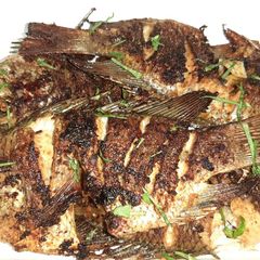 A picture of Grilled tilapia.