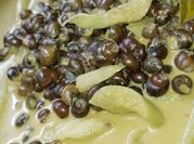 Gambar gulai siput pedas
