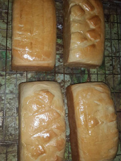 A picture of Home made bread.