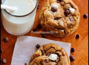Foto resep Chewy Chocolate Cookies ala New York Times -trial 1-