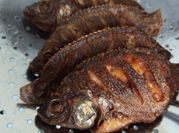 Gambar mujaer goreng