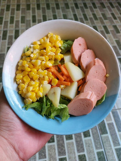 Foto resep Salad Sayur (cocok untuk diet)