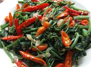 Gambar daun labu pedas