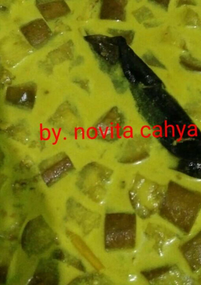 Foto resep Lodeh terong ungu